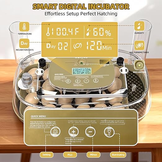 24 Incubators for Hatching Eggs, Egg Incubator with Humidity Control & Digital Temperature, Automatic Egg Turner, Hatch Day, Auto Water Refill, 360°Viewing for Chicken, Duck, Quail, Duck, Goose - Image 3