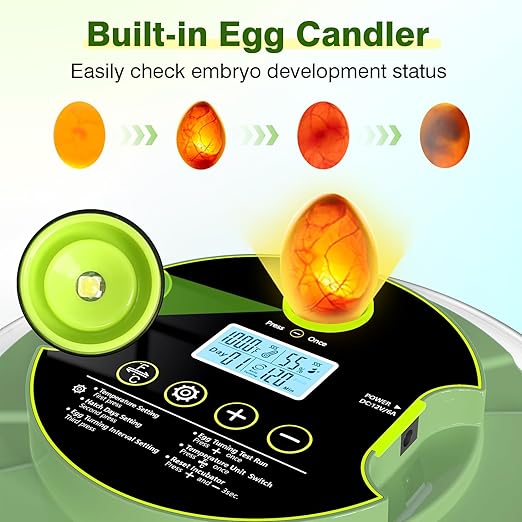 18 Egg Incubators for Hatching Eggs, Egg Incubator with Temperature Control, Humidity Display, Auto Egg Turner, Egg Candler, 2 Size Egg Trays, Digital Incubator for Chicken, Duck, Quail Eggs - Image 2