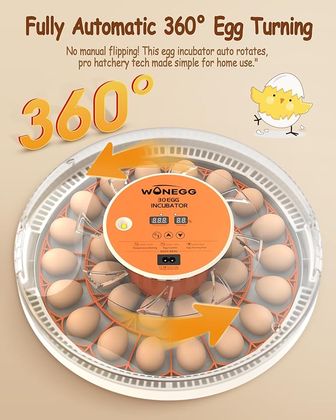 30 Egg Incubators for Hatching Eggs with Automatic Egg Turner, Auto Temperature Control, LED Candling, Humidity Monitor, 360° Viewing for Chicken Quail Parrot Birds - Image 2