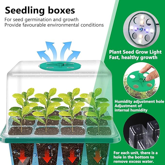 payanwin 6-Pack Seed Starter Tray Kit with Grow Light, Adjustable Brightness & Timing Controller, Seedling Trays with Humidity Domes & Heightened Lids, Thicken Design, Ideal for Indoor Plant Growth - Image 2