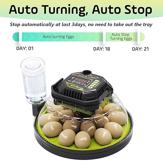 Egg Incubator with Automatic Egg Turning and Humidity Control,Built in Atomizer, Auto Egg Turner, Auto Stop Flip,18egg,Egg Candler, Hatching Small Quail Chicken Duck Goose at Home Backyard - Image 2