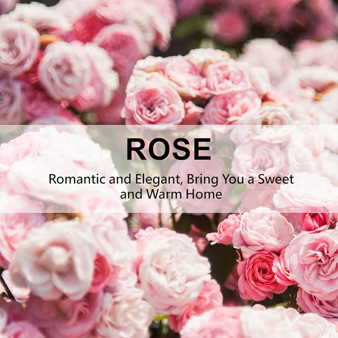 ROSE COTTAGE Large 12 Packs Rose Hanging Closet Deodorizer Air Freshener Long Lasting Scented Sachets Smell Goods for House - Image 7