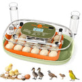 Egg Incubator for 24 Chicken Eggs with Automatic Turner, Digital Temperature Control & Humidity Display, Candler, Poultry Hatcher for Chicken, Duck, Quail, Birds (Green) by Sindarhor
