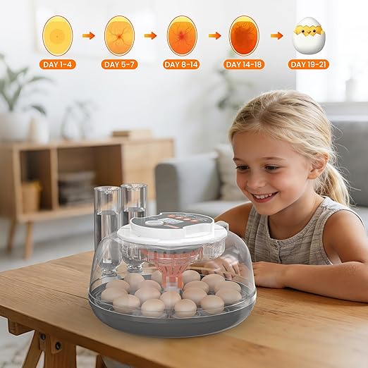 18 Egg Automatic Egg Incubator for Hatching Eggs, Chicken Egg Incubator with Auto Egg Turning, Humidity & Temperature Control, Hatch Day Counter, Egg Candler, 2 Egg Trays & External Water Bottles - Image 7