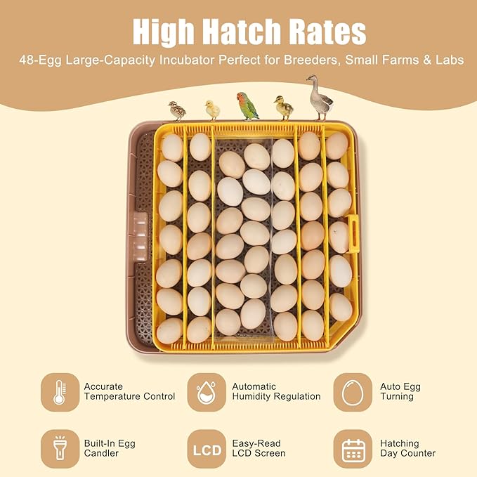 Automatic 48-Egg Incubator for Breeders, Sensor-Based Precise Humidity & Temp Control, Chick Separator, Adjustable Egg Spacing, Auto Turn & Auto Stop, Preset Incubation Days, Candler - Image 6