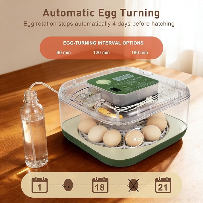 2026 New Auto 12-Egg Incubator for Beginners, Automated Incubation, Sensor-Based Precise Humidity & Temp Control, Custom-Interval Auto Turn & Auto Stop, Preset Incubation Days, Candler - Image 6
