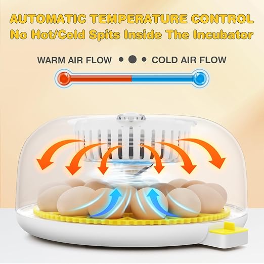 Sailnovo 18 Egg Incubator for Hatching Eggs with Automatic Egg Turning and Humidty Display, Temperature Control,360° Clear View, Egg Incubator for Hatching Chickens,Ideal for Farm,School and Lab - Image 2