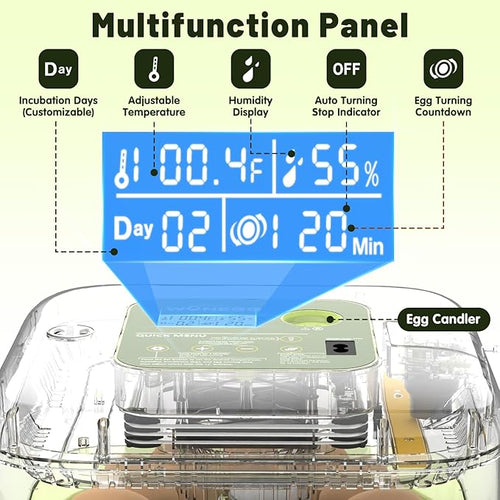 12 Egg Incubator with Automatic Egg Turning and Humidity Control, LED Egg Candling Light, Customized Incubation Days, Incubators for Hatching Eggs, Chicken Quail Parrot Pigeon Birds, Green - Image 2