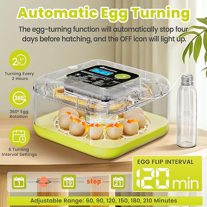 Egg Incubators for Hatching Eggs, 12 Egg Incubator with Automatic Egg Turning and Humidity Control, Incubator for Chicken/Quail/Duck Eggs with Temperature Control/LED Egg Candler, 360 Degree View - Image 4