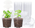 homenote Clear Nursery Pots for Plants,4 Inch Plant Pot for Planting Plastic Seedling with Drainage Holes Seed Starter Flower High Transparency with 20 Labels (60 Pack) by HOMENOTE