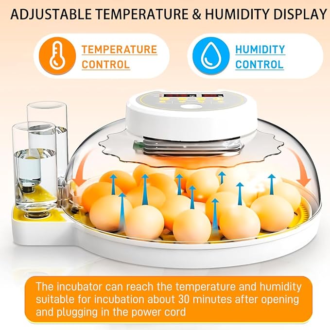 18/60 Incubator for Hatching Eggs, Egg Incubators with Humidity Display, Egg Candler, Automatic Egg Turner, Poultry Egg Incubator for Hatching Chicken Duck Goose Bird Quails- Yellow - Image 5