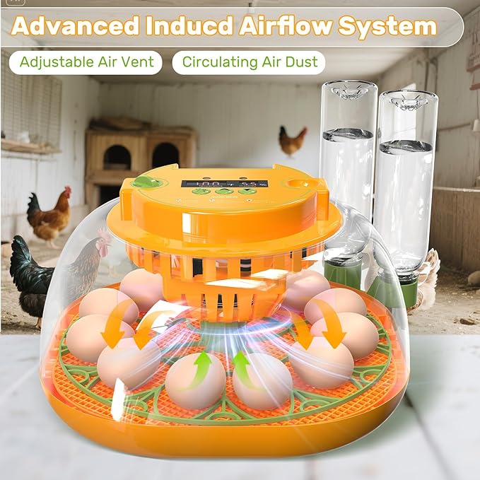 Incubators for Hatching Eggs, 12 Egg Incubator with Automatic Egg Turning and Humidity Control, Egg Candler, Auto Water Replenishment, Air Vent, for Hatching Chicken Duck Quail Goose Eggs - Image 6