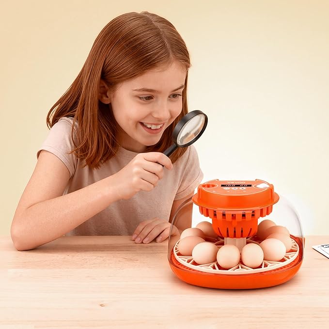 VEVOR 12 Egg Incubator, Automatic Egg Turner with LED Candler, Temperature & Humidity Control, 360° View Clear Window, Poultry Eggs Incubator for Home Farm, Hatching Chicks Ducks Goose Quail - Image 8