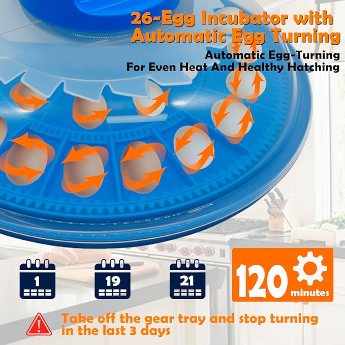 26-Egg Incubator with Automatic Egg Turning and Humidity Control | with 360° Viewing Window | Suitable for Hatching Eggs of Poultry &Reptiles Such as Chickens,Ducks,Geese,Quails,Parrots,etc - Image 5