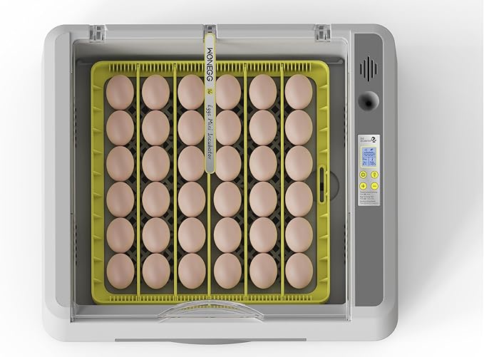 Egg Incubator for Hatching Chicks, 36 Eggs Automatic Turner with Temperature & Humidity Control, Multifunctional Ultra-Clear Panoramic View with Hatch Days & Egg Candler for Chicken, Duck, Goose, Bird - Image 8