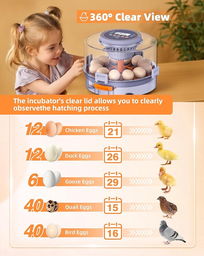 Incubators for Hatching Eggs, 12 Chicken Incubator with Automatic Egg Turning and Humidity Control, Baby Chick Cozy Supplies with Egg Candler for Quail, Chickens, Duck, Goose - Image 3