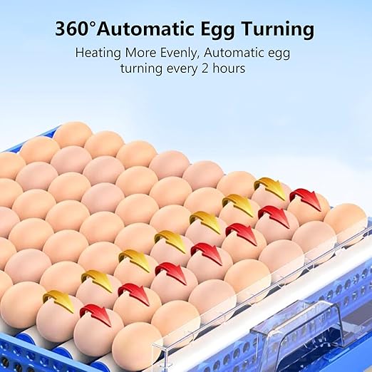 Automatic Eggs Incubator, Large Incubators for Hatching Eggs with Automatic Egg Turning & Temperature Control, Poultry Hatcher Machine for Chicken Duck Goose Quail Bird (128 Eggs) - Image 3
