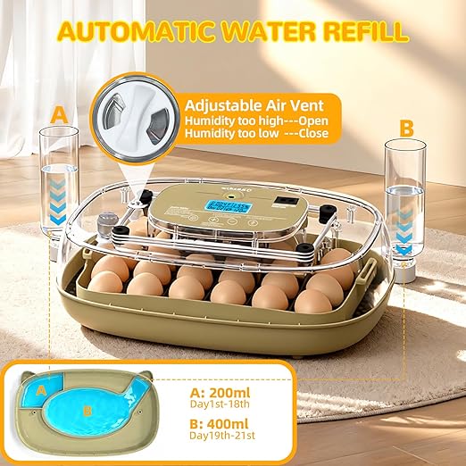 24 Egg Incubator with Temperature Control & Humidity Monitoring, Automatic Egg Turner, Built-in Egg Candler, 360° Clear View for Hatching Chicken, Duck, Quail Eggs - Ideal for Home, Classroom, Farm - Image 3