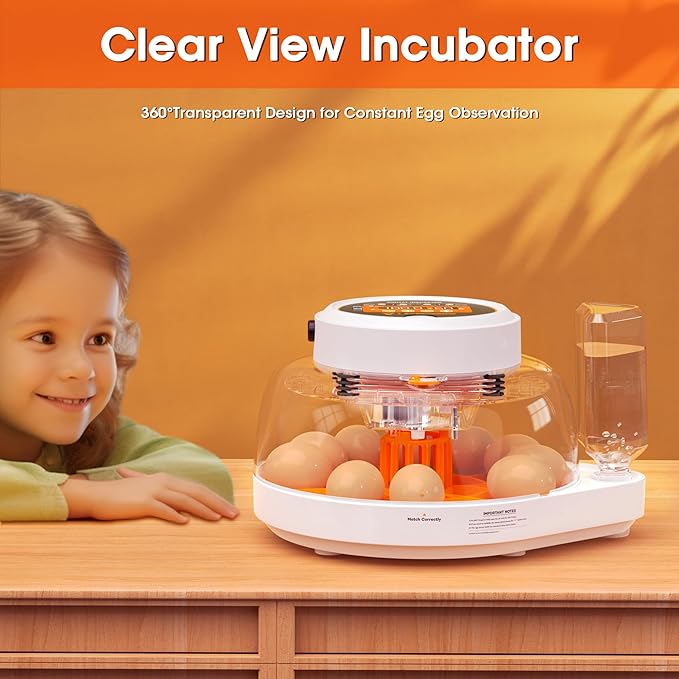 Incubators for Hatching Eggs, 12 Eggs Smart Incubator with Automatic Egg Turning and Humidity Control, Automatic Water Adding for Hatching Chicken, Duck,Quail Goose [2025 Upgrade] - Image 7