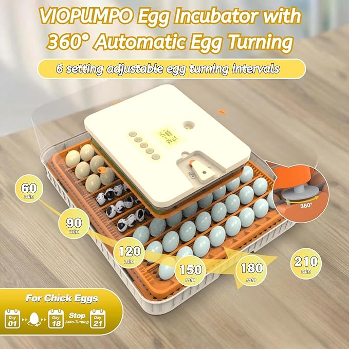 Egg Incubator for Hatching 56-154 Chicken/Quail/Turkey Eggs, 360° View Poultry Incubators with Automatic Egg Turning/Humidity Control&Alarm/Auto Water Adding/Adjustable Tray, for Beginner/Farm/Home - Image 3