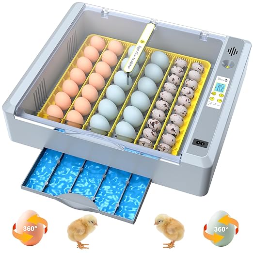 36 Eggs Incubator for Hatching Chicken/Goose/Quail/Duck/Turkey Eggs, 360° View Incubator with Automatic Egg Turning/Humidity Control/Low Humidity Alarm/Adjustable Tray, for Beginner/Farm/Teaching/Home by Unknown