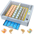 36 Eggs Incubator for Hatching Chicken/Goose/Quail/Duck/Turkey Eggs, 360° View Incubator with Automatic Egg Turning/Humidity Control/Low Humidity Alarm/Adjustable Tray, for Beginner/Farm/Teaching/Home by Unknown