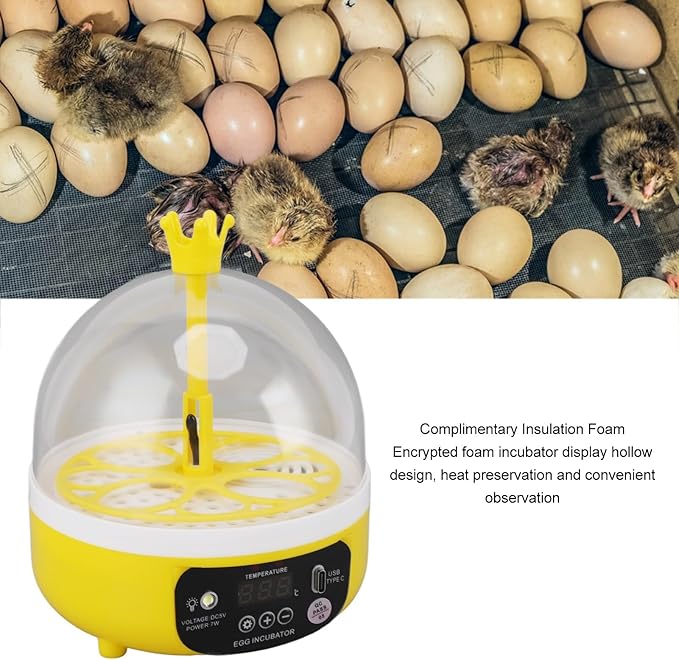 Hapivida 4 Eggs Mini Automatic Incubator, 7W Temperature Humidity Control Poultry Incubator Household Egg Turner for Chicken Duck or Other Eggs - Image 2