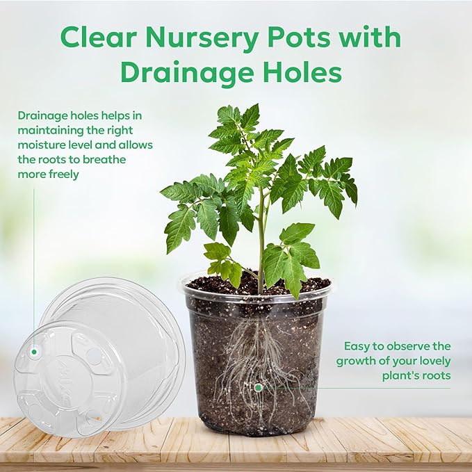50 Packs 4 Inch Reinforced Clear Nursery Pots with Drainage Holes, Transparent Plastic Plant Pot Seedling Planter for Vegetable Propagation, Root Cutting, Seed Starting - Image 3