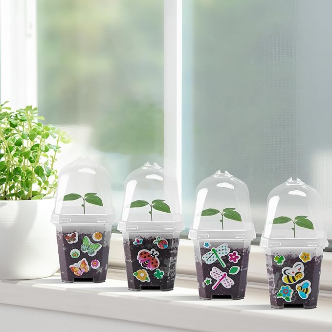 EBaokuup 10 Pack Clear Plant Nursery Pots with Humidity Dome-3" Reusable Plastic Gardening Pot with Printed Labels-Small Seed Starting Pots for Seedlings Vegetables Succulents Cuttings - Image 6