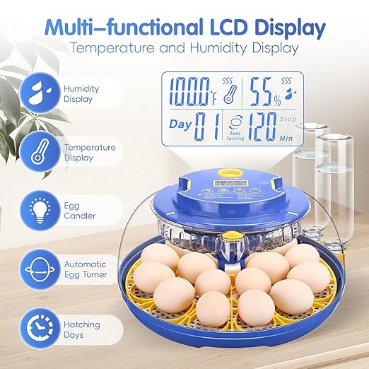 Egg incubators for Hatching Eggs, Automatic Egg Turning 12-24 Poultry Incubator with Temperature Control,Automatic Water Adding,℉ Display,360° View for Hatching Chickens, Duck,Quail,Goose Eggs (M18H) - Image 2