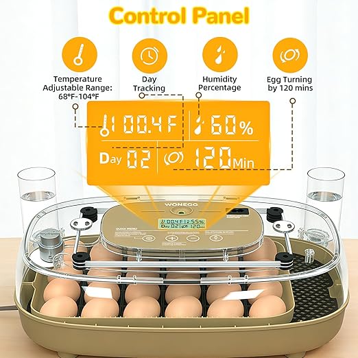 24 Egg Incubator with Temperature Control & Humidity Monitoring, Automatic Egg Turner, Built-in Egg Candler, 360° Clear View for Hatching Chicken, Duck, Quail Eggs - Ideal for Home, Classroom, Farm - Image 2