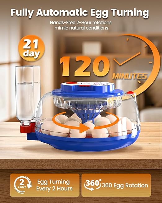 Incubators for Hatching Eggs, 18 Eggs Incubators with Egg Candler, Automatic Egg Turner, Temperature & Humidity Control, Full Viewing for Chicken, Duck, Quail, Goose, Parrot and Pigeon - Image 2