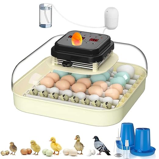 35 Egg Incubator with Automatic Egg Turning and Humidity Control, Incubator for Chicken Eggs, Quail, Duck Eggs, with Egg Candler by CoInceptus