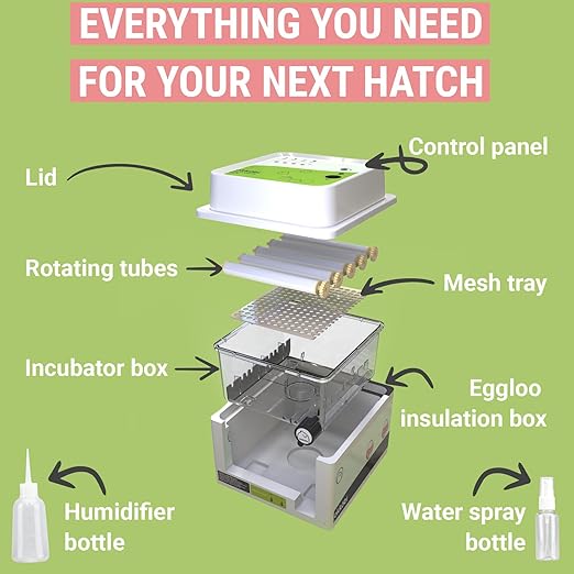Incubators for Hatching Eggs - 12 Eggs - Ideal All Ages | Egg Incubator with Automatic Egg Turning and Humidity Control - Integrated Egg Candler - Okkobi OBI-12 - Image 4