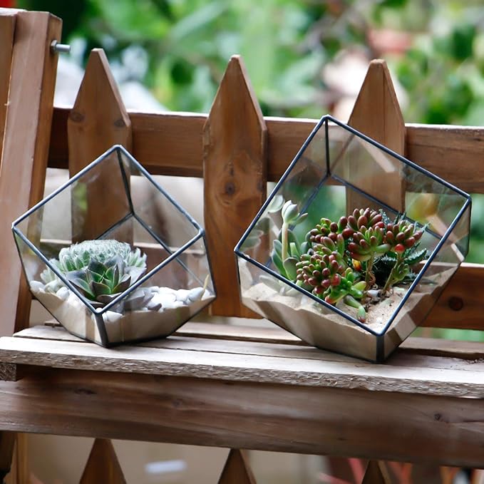 ELEGANTLIFE Glass Geometric Plant Terrarium Container, Flower Pot Tabletop Planter Decor Glass Display Box Succulent & Air Planter for Home Garden Office Decoration(Black Cubic Set of 2) - Image 6