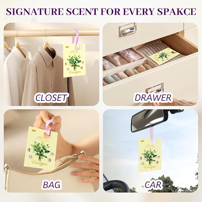 MR.A 13 Packs Eucalyptus Scented Sachets, Fragrance Sachet Bags for Drawers and Closets, Air Fresheners for Car and Home, Closet Deodorizer Scented Drawer Fresheners for Dresser with Hanger Hooks - Image 7
