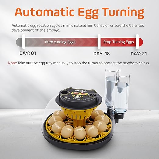 Incubators for Hatching Eggs with Automatic Egg Turning,Humidity Display Temperature Control,Auto Water Fill,Egg Candler,12 Egg Hatcher Incubate Chick Quail Duck Turkey Goose Parrot Bird - Image 2