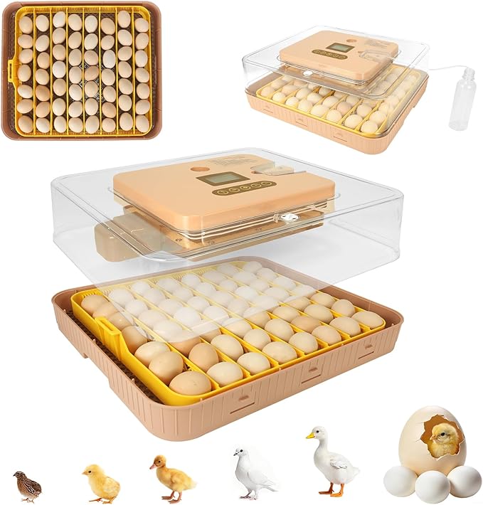 Master 56 Egg Incubator for Breeders, Fully Automated, Accurate Humidity & Temp Control, Chick Separator, Flexible Egg Spacing, Custom Incubation Days, Auto Turning & Auto Stop, Easy Monitoring by Unknown