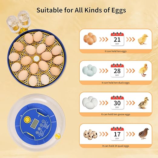 18 Egg Incubator with Auto Turn & Humidity Control, 360° View Poultry Hatcher for Chicken/Duck/Turkey/Quail Eggs - Incubator for Hatching Eggs - Image 3