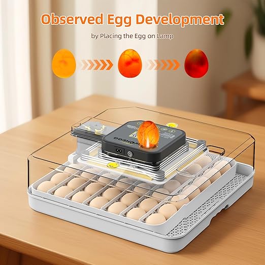 Incubators for Hatching Eggs, 48 Egg Incubator with Automatic Egg Turning and Humidity Control, Incubator for Chicken Eggs with Temperature Control, Egg Candler, External Water Bottle Refill - Image 3