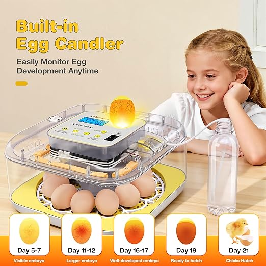 Sailnovo 12 Egg Incubators for Hatching Egg with Auto Egg Turning and Auto Humidification,Incubator for Chicken Eggs,Temperature Control, Egg Candler,Ideal for Farm,School and Lab - Image 5