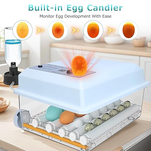 Incubators for Hatching Eggs 16 Egg Automatic Egg Incubator with Temperature Control Humidity Control and Display for Goose Chicken Duck Quail Pigeon Eggs Auto Turner,Light Blue - Image 5