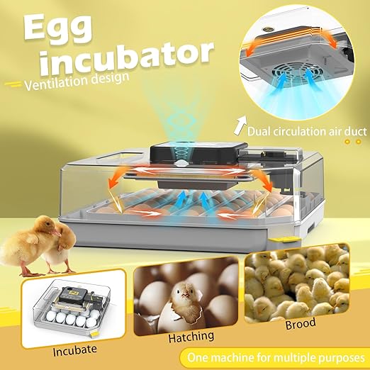 Incubators for Hatching Eggs 48 Egg Incubator with Automatic Turning and Humidity Control for Chicken Duck, Egg Candler for Chicken Eggs Goose Incubator Duck Quail Chick for Hatching Poultry (Grey) - Image 2