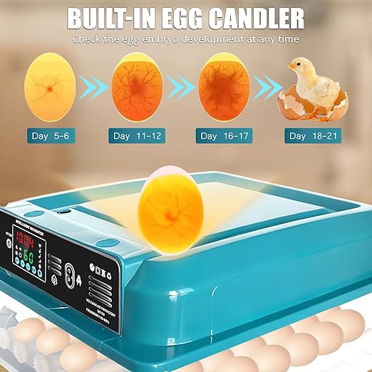 Incubators for Hatching Eggs,36 Egg Incubator,Automatic Egg Turning,Temperature & Humidity Control,Abnormality Monitoring,Egg Candle,Professional Incubator for Chicken,Duck,Geese,Quail - Image 4