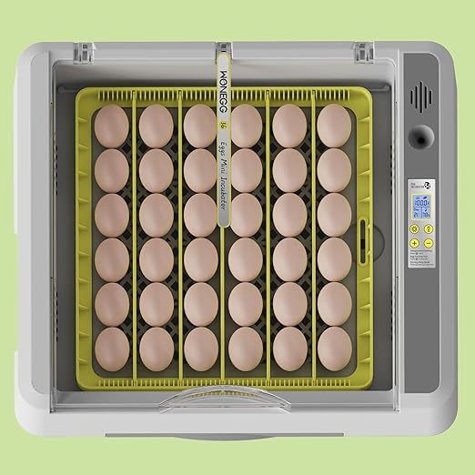 36 Eggs Incubator for Hatching Chicken/Goose/Quail/Duck/Turkey Eggs, 360° View Incubator with Automatic Egg Turning/Humidity Control/Low Humidity Alarm/Adjustable Tray, for Beginner/Farm/Teaching/Home - Image 8