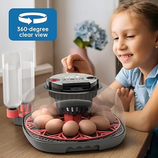 12-24 Egg Incubator with Humidity Display, Egg Candler, Automatic Egg Turner, for Hatching Chickens Duck Quail Parrot - Image 7