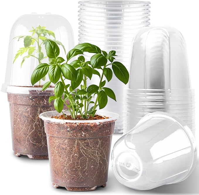 6 Inch Clear Nursery Pots with Humidity Dome, 15 Pack Durable Seed Starting Pot with Drainage Holes, Transparent Plastic Plant Seedling Pots for Indoor Gardening Plants by RooTrimmer