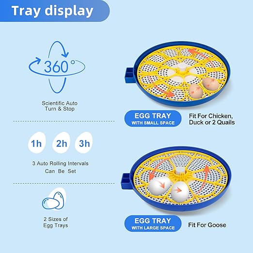 18 Egg Incubator for Hatching Chicken, Duck, Quail Eggs – 360° Visible Lid, Automatic Turning & Humidity Control, Built-in Egg Candler – Ideal for Home & Classroom Science Projects - Image 4