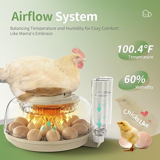 Large Capacity Egg Incubator for Hatching Eggs with Automatic Egg Turner, Adjustable Humidity & LED Display, Clear Lid Incubator for Chicken, Quail & Poultry Eggs (18 Chicken Eggs) - Image 3