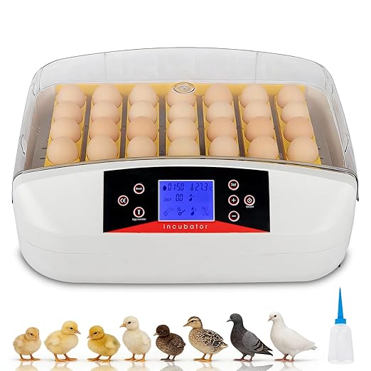 Winado Incubators for Hatching Eggs, 41 Egg Incubator with Automatic Egg Turning & Temperature Control, Egg Candler, and Day Counter for Chicken, Duck, and Quail Eggs Hatching by Winado